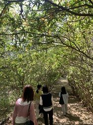 ���g���[�g1