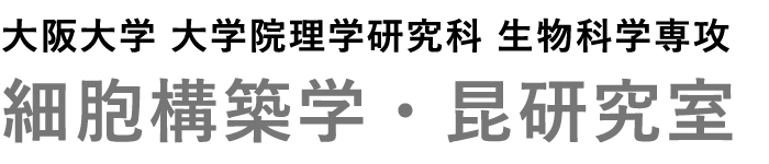 大阪大学 大学院理学研究科 生物科学専攻 細胞構築学・昆研究室