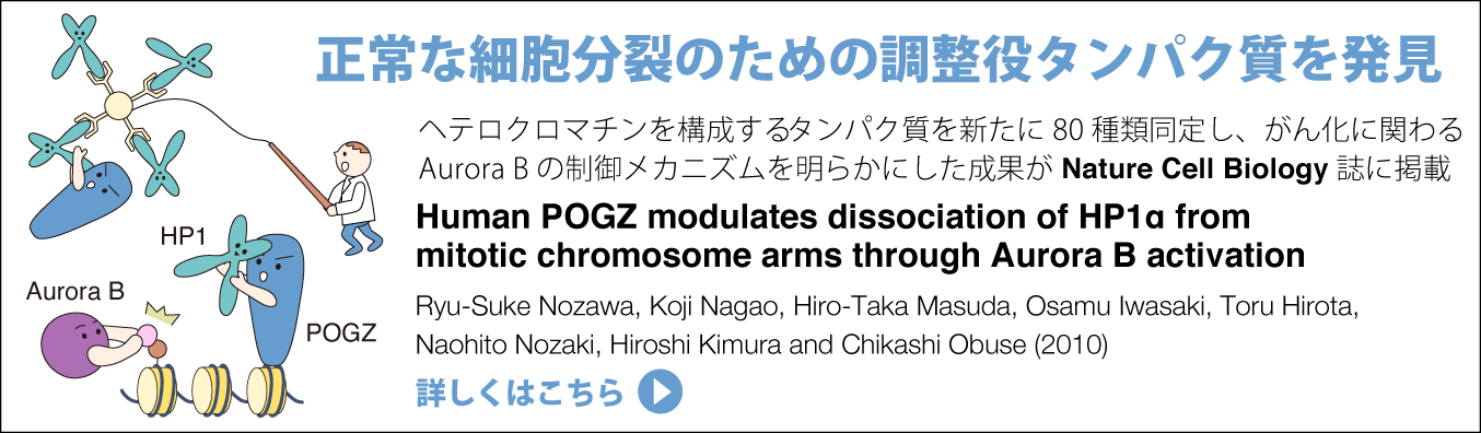 正常な細胞分裂のための調整役タンパク質を発見。ヘテロクロマチンを構成するタンパク質を新たに80種類同定し、がん化に関わるAurora Bの制御メカニズムを明らかにした成果がNature Cell Biology誌に掲載。詳しくはこちらをクリック。