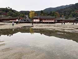 厳島神社（宮島）