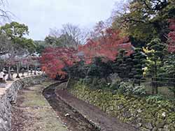 紅葉谷公園の近くまで（宮島）