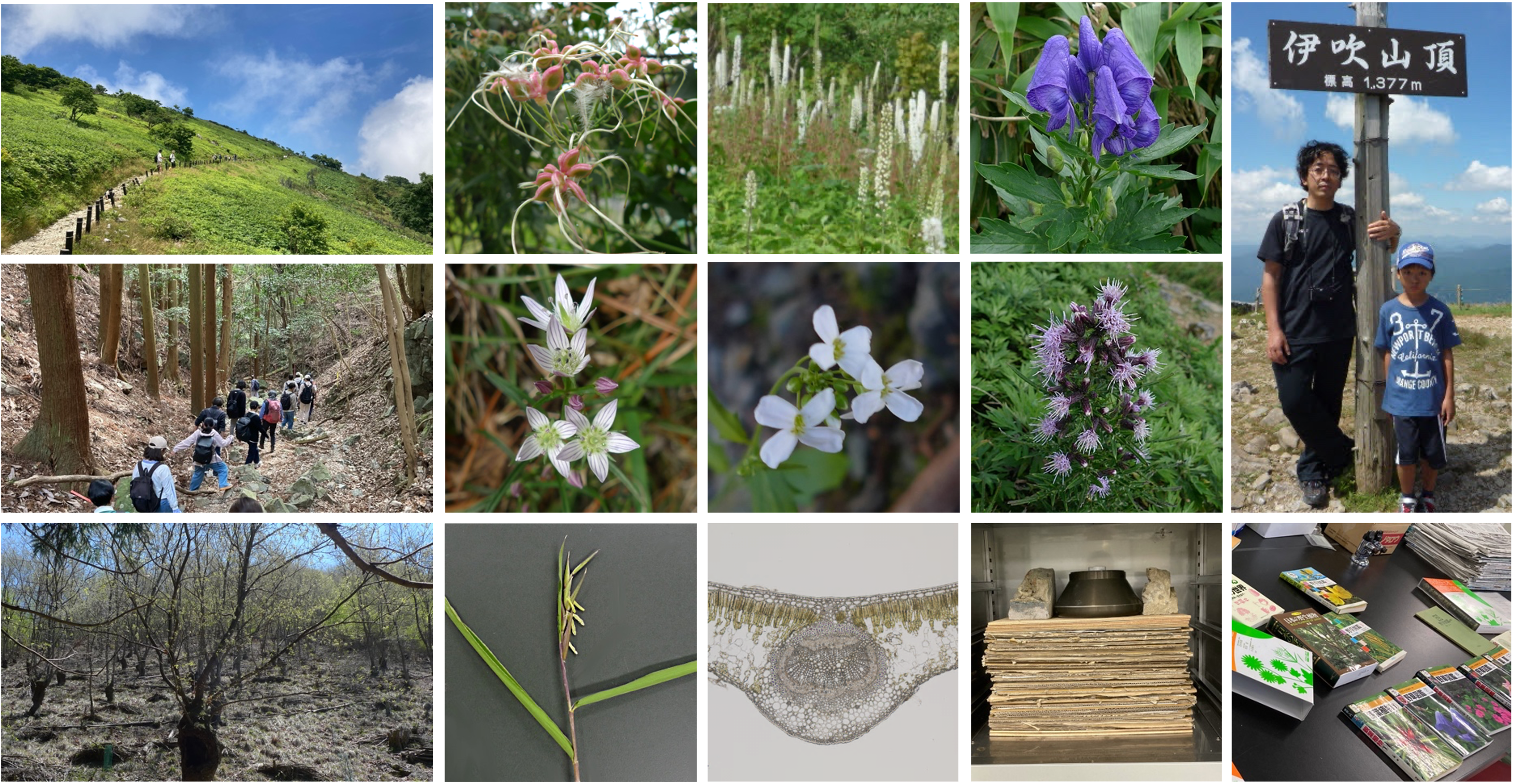 ���K���i